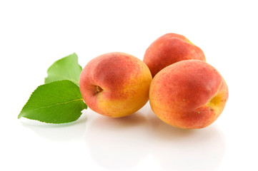 group of apricots with green leaf isolated on white background