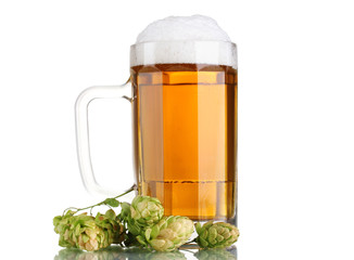 beer mug and green hop isolated on white