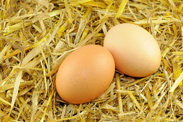 Zwei Eier im Stroh