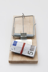 Mouse Trap euro bill
