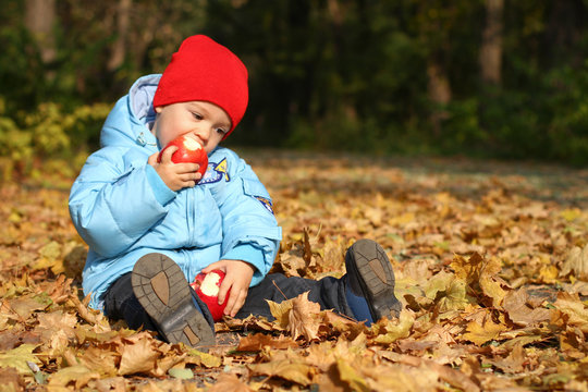 Little boy with two apples on autumn leaves