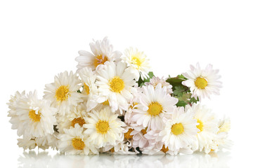 Obraz premium beautiful bouquet of daisies isolated on white