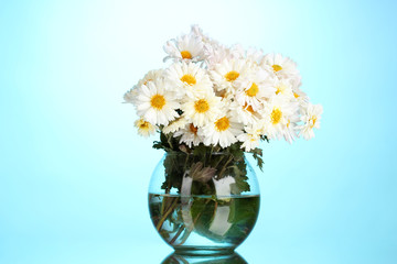 beautiful bouquet of daisies in vase on blue background