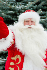 Portrait of natural Santa Claus standing at Christmas Tree outdo