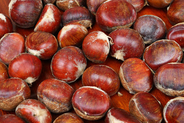 chestnut