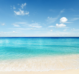 Fototapeta premium Tropical beach