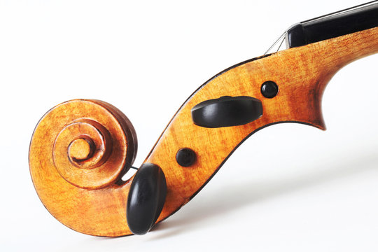 Violin scroll