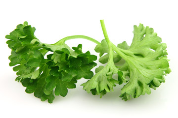 Fresh parsley