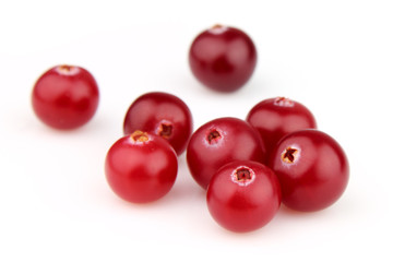 Ripe cranberry