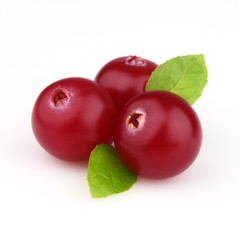 Cowberry with mint