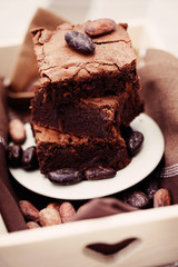 delicious brownie