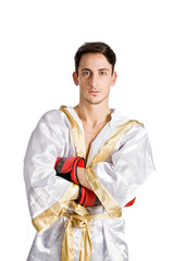 Fototapeta premium Boxer