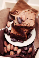 delicious brownie