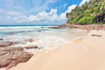 Exotic tropical beach.
