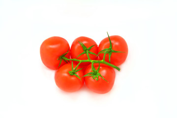 tomatoes on a branch