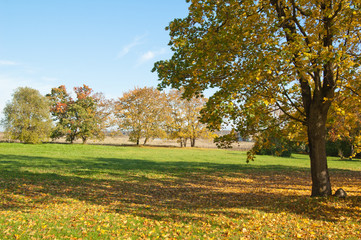 Autumn landscape