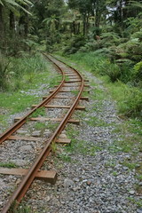 Rusted rails curve in the jungle