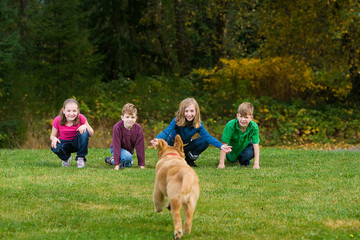 Obraz premium Group of children with a dog running towards them