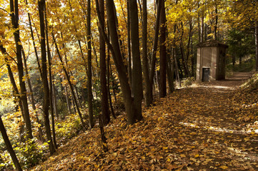 Obraz premium trail in the park