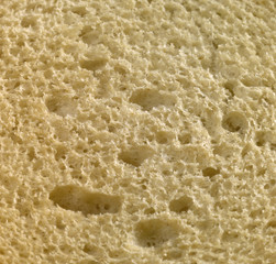 bread closeup