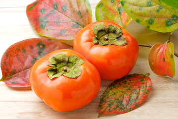 Kaki / Persimmon / Sharon Fruit