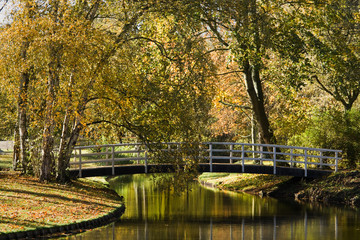 Pond and white bridge in park in fall