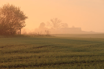 Misty farm