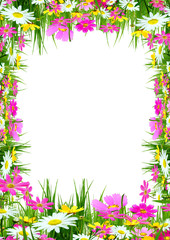 Spring flowers and grass on a white background