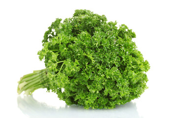 fresh bunch of parsley isolated on white