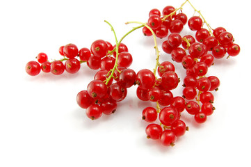 Isolated red currant