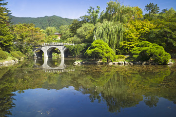 Fototapeta premium Beautiful garden