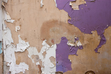 Paint peeling off plaster wall in a derelict building