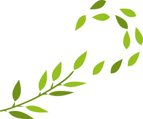 Baum, tree, Blätter, Grün