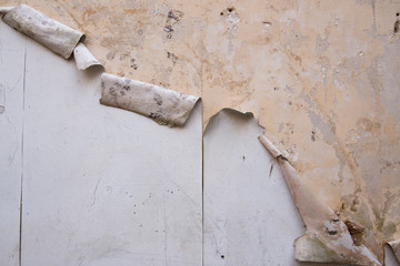 Wall-paper peeling off plaster wall in a derelict building