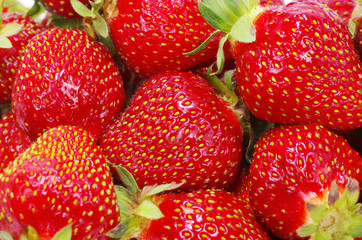 strawberry