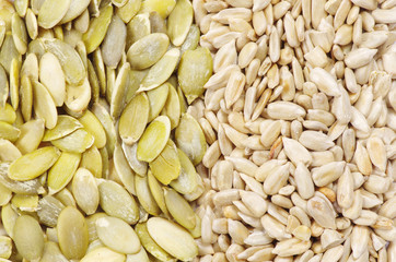 sunflower and pumpkin seeds