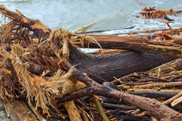 spiaggia invasa dai detriti dopo un'alluvione