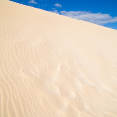 Fuerteventura; Corralejo sand dunes nature park