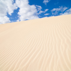 Fototapeta na wymiar Fuerteventura; Corralejo sand dunes nature park