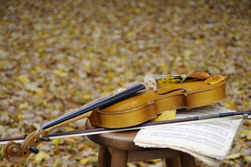 closeup with violin in fall season