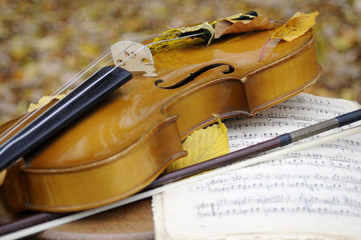 closeup with musical instrument