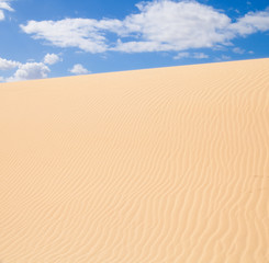 Fuerteventura; Corralejo sand dunes nature park