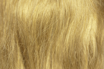 Beautiful blond hair