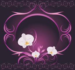 Orchids in the decorative frame