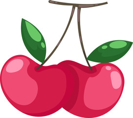 illustration Cherry vector file on White background