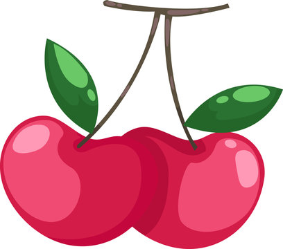 illustration Cherry vector file on White background