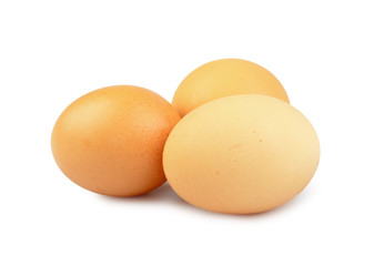 eggs isolated