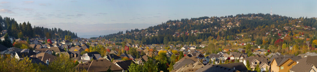 Naklejka premium Residential Homes in Suburban North America