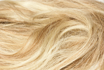Fototapeta premium Beautiful blond hair