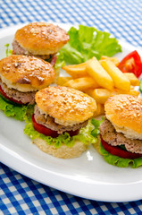 Burgers with french fries in plate